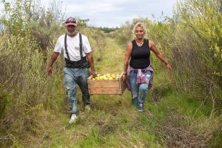 Trabajo rural 