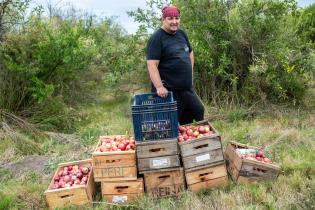  Donación de manzanas en ayuda al Plan ABC