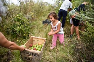 Donación de manzanas en ayuda al Plan ABC Donación de manzanas en ayuda al Plan ABC