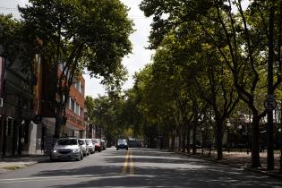 Avenida Garibaldi