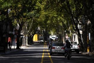 Avenida Garibaldi Avenida Garibaldi
