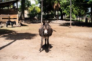 Paseo Villa Dolores