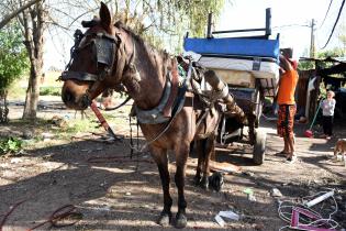 Entrega de viviendas en  barrio Cauceglia