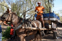 Entrega de viviendas en  barrio Cauceglia