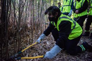 Trabajos en Jardín Botánico en el marco del Programa ABC Oportunidad Trabajo