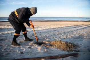 Instalación de cercas captoras en playa Santa Catalina