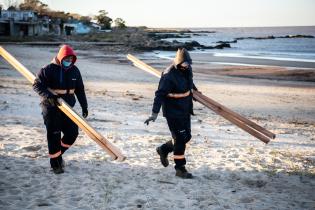 Instalación de cercas captoras en playa Santa Catalina