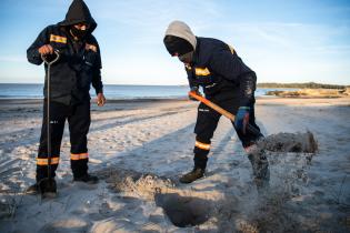 Instalación de cercas captoras en playa Santa Catalina