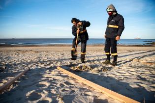 Instalación de cercas captoras en playa Santa Catalina