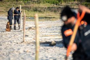 Instalación de cercas captoras en playa Santa Catalina