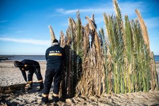 Instalación de cercas captoras en playa Santa Catalina