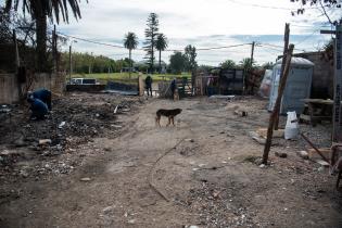 Trabajos de recuperación de finca incendiada en el marco del Programa ABC Oportunidad Trabajo