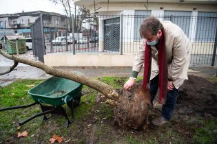 Un ceibo para Gardel en Montevideo