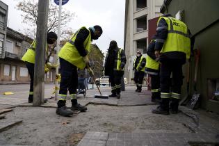 Cuadrilla del Programa ABC Trabajo en las inmediaciones del MAM