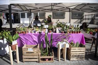 Feria de la Primavera