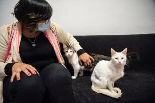 Inauguración del primer Centro de adopción permanente en Montevideo de Animales sin Hogar Inauguración del primer Centro de adopción permanente en Montevideo de Animales sin Hogar