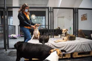 Inauguración del primer Centro de adopción permanente en Montevideo de Animales sin Hogar