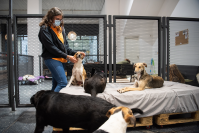 Inauguración del primer Centro de adopción permanente en Montevideo de Animales sin Hogar