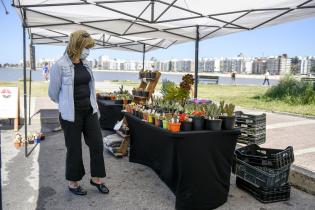 Montevideo más Verde: Feria Sustentable Montevideo más Verde: Feria Sustentable