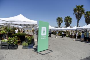 Montevideo más Verde: Feria Sustentable