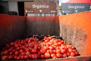 Recuperación de alimentos en la Unidad Agroalimentaria Metropolitana