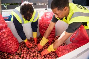 Recuperación de alimentos en la Unidad Agroalimentaria Metropolitana