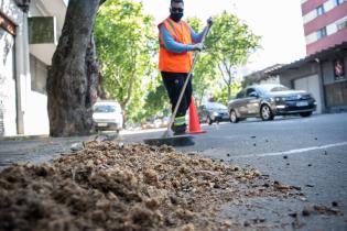 Barrido especial por pelusa de plátanos en Avenida San Martín Barrido especial por pelusa de plátanos en Avenida San Martín