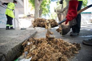 Barrido especial por pelusa de plátanos en Avenida San Martín Barrido especial por pelusa de plátanos en Avenida San Martín