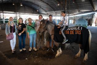 Entrega de motocarros y adopción de caballos