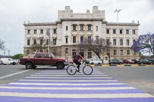 Intervención en cebra del Palacio Legislativo en elmarco del 25N Intervención en cebra del Palacio Legislativo en elmarco del 25N