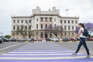 Intervención en cebra del Palacio Legislativo en elmarco del 25N Intervención en cebra del Palacio Legislativo en elmarco del 25N