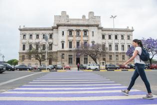 Intervención en cebra del Palacio Legislativo en elmarco del 25N