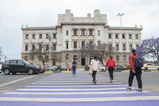 Intervención en cebra del Palacio Legislativo en elmarco del 25N Intervención en cebra del Palacio Legislativo en elmarco del 25N