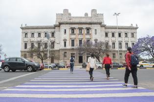 Intervención en cebra del Palacio Legislativo en elmarco del 25N