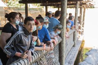 Cierre de actividades de verano del programa de atención a personas con discapacidad en el parque de la Amistad