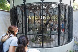 Cierre de actividades de verano del programa de atención a personas con discapacidad en el parque de la Amistad Cierre de actividades de verano del programa de atención a personas con discapacidad en el parque de la Amistad