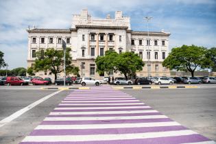 Intervención en cebra del Palacio Legislativo en el marco del Mes de la Mujer