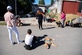 Jornada de castraciones gratuitas en Policlínica INVE 16 en el marco del Plan ABC