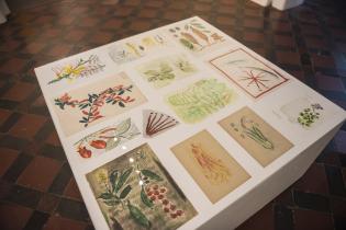 Museo y Jardín Botánico Museo y Jardín Botánico