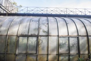 Invernáculo del Museo y Jardín Botánico 