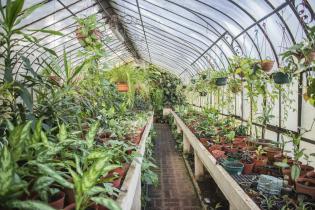 Invernáculo del Museo y Jardín Botánico 