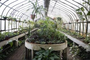 Botánico más verde Botánico más verde