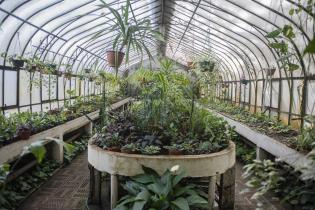 Invernáculo del Museo y Jardín Botánico 