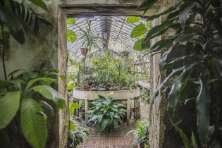 Invernáculo del Museo y Jardín Botánico 