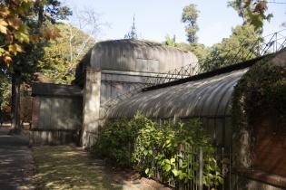 Botánico más verde Botánico más verde