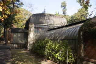 Botánico más verde