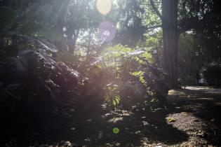 Museo y Jardín Botánico