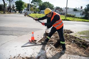 Comienzo de obras del Plan ABC Veredas en zona del ex Mercado Modelo