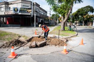 Comienzo de obras del Plan ABC Veredas en zona del ex Mercado Modelo