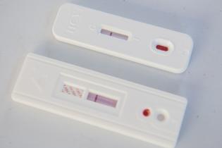 Día Internacional de Acción por la Salud de las Mujeres en la explanada de la Intendencia Día Internacional de Acción por la Salud de las Mujeres en la explanada de la Intendencia
